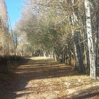 Bayburt Kitre Köyü Resimleri 10