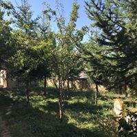 Bayburt Kitre Köyü Resimleri 12