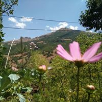 Bayburt Koçbayır Köyü Resimleri 8