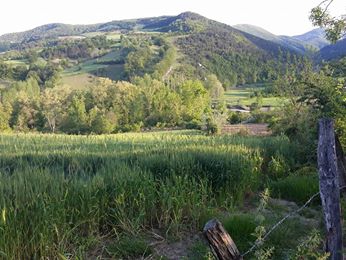 Bafra İlyaslı Köyü Resimleri 1