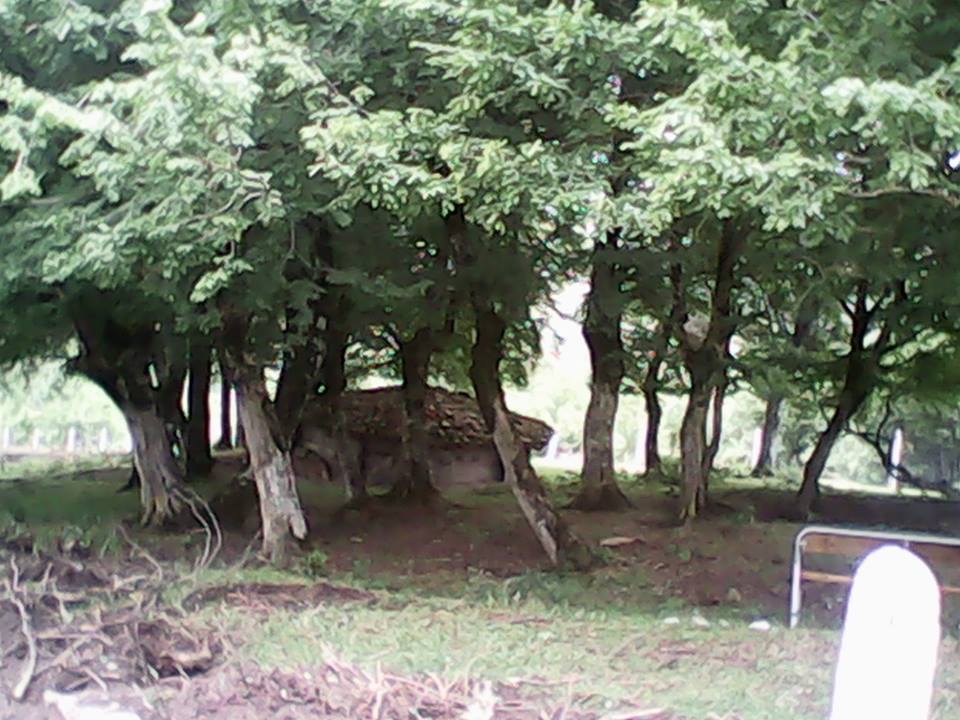 Bafra İlyaslı Köyü Resimleri 3