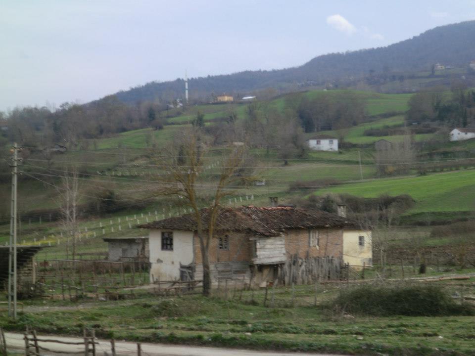 Bafra İlyaslı Köyü Resimleri 4