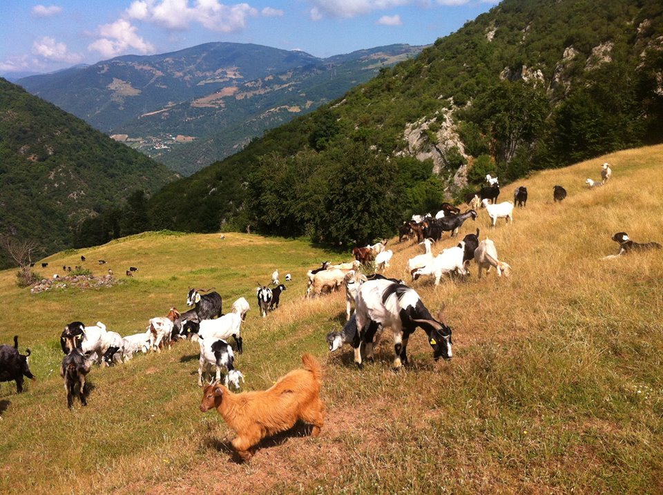 Bafra Kapıkaya Köyü Resimleri 3