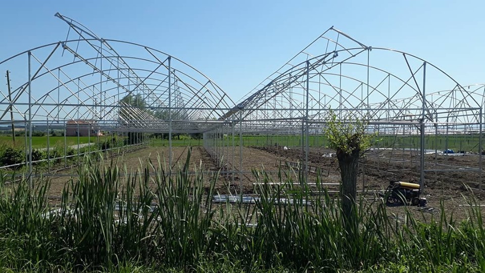 Bafra Karpuzlu Köyü Resimleri 2