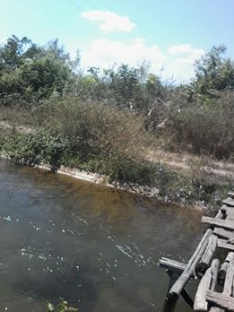 Bafra Karpuzlu Köyü Resimleri 4