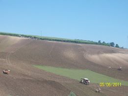 Bafra Keresteci Köyü Resimleri 4