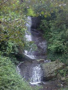 Tonya Sağrı Köyü Resimleri 3