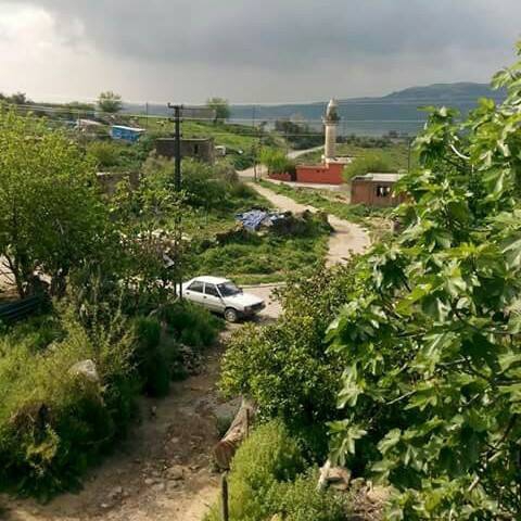Adana Çukurova Memişli Köyü Resimleri 1