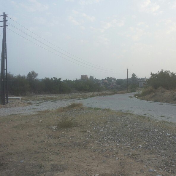 Adana Çukurova Memişli Köyü Resimleri 4