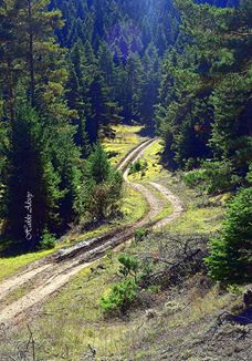 Kastamonu Ballık Köyü Resimleri 1