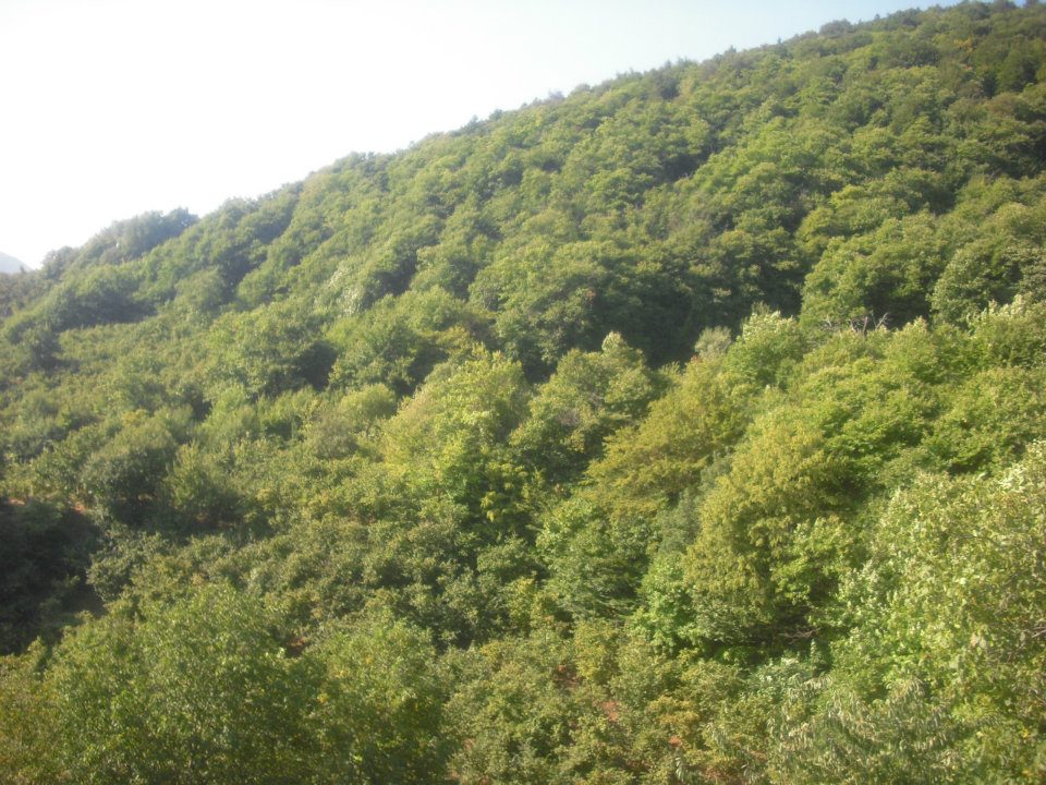 Kastamonu Baltacı Köyü Resimleri 10