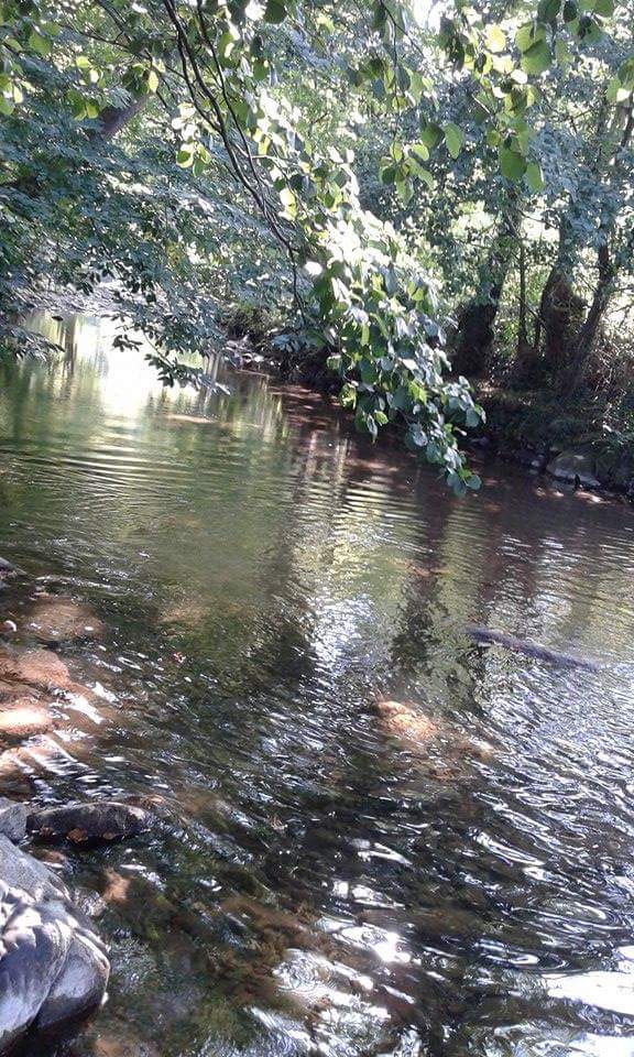 Kastamonu Baltacı Köyü Resimleri 2