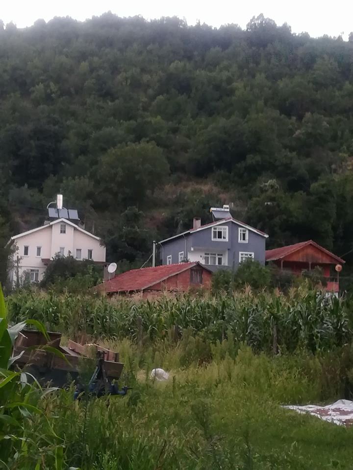 Kastamonu Baltacı Köyü Resimleri 6