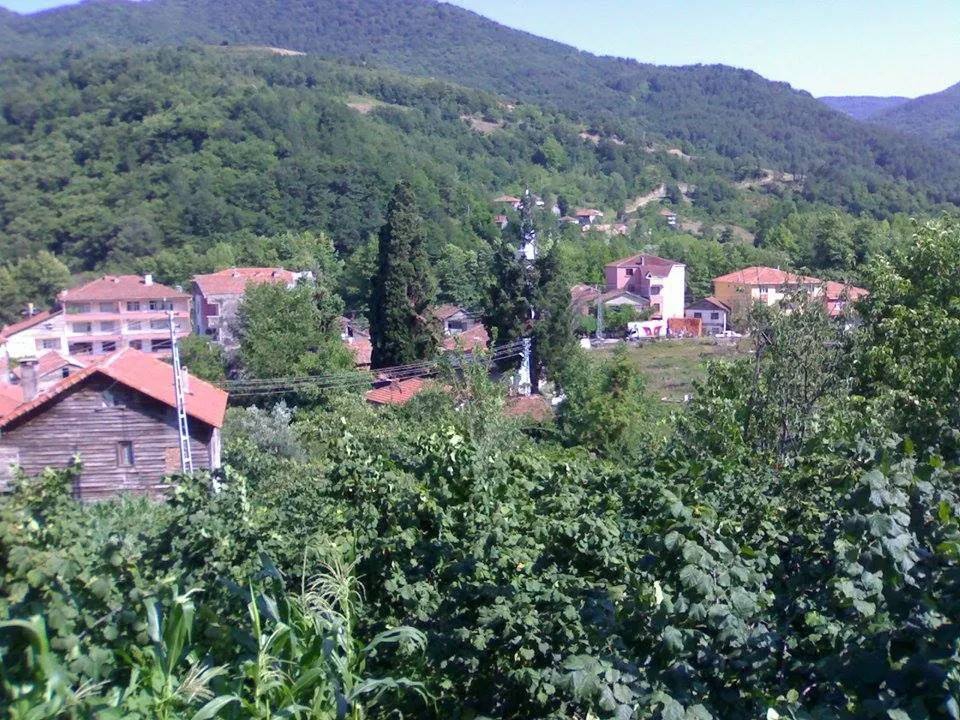 Kastamonu Baltacı Köyü Resimleri 7