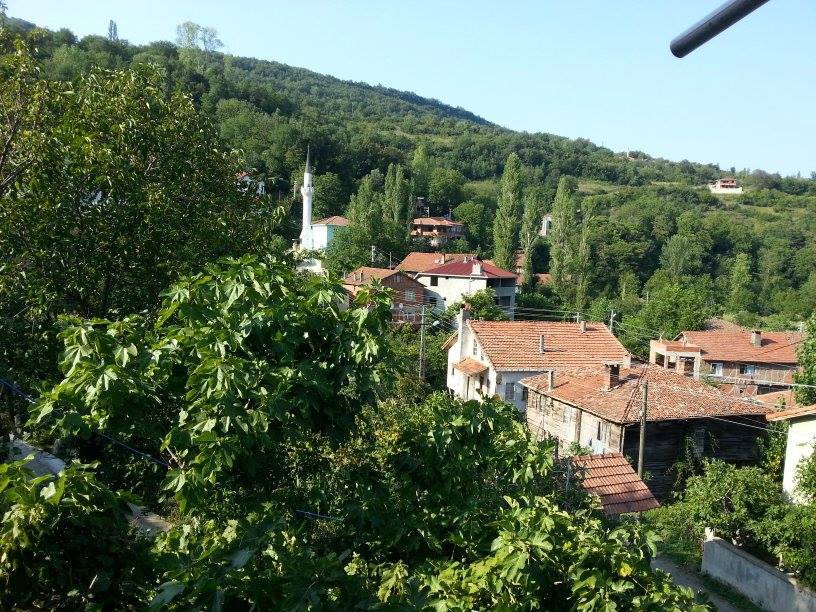 Kastamonu Baltacı Köyü Resimleri 8