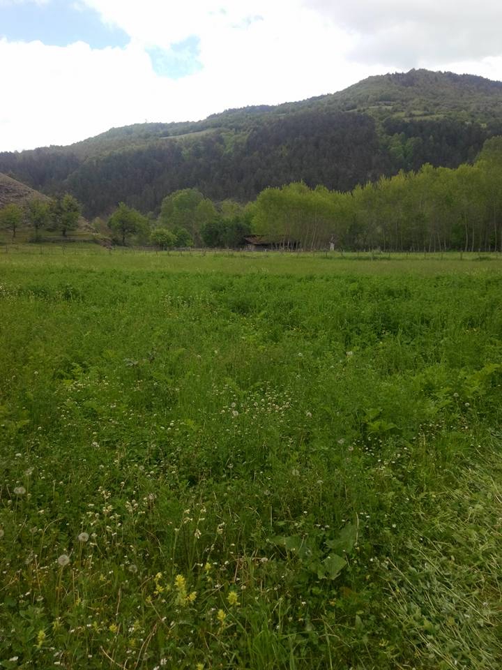 Kastamonu Başören Köyü Resimleri 7