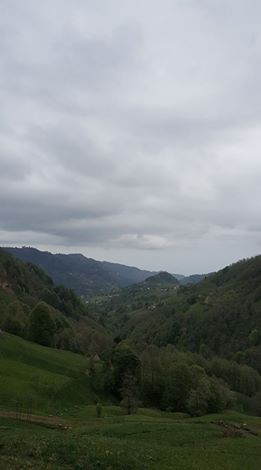 Tonya Sayraç Köyü Resimleri 10