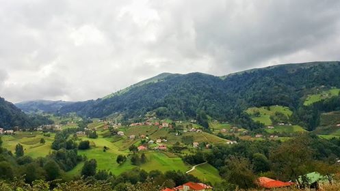 Tonya Sayraç Köyü Resimleri 13