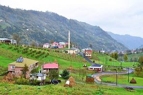 Tonya Sayraç Köyü Resimleri 17