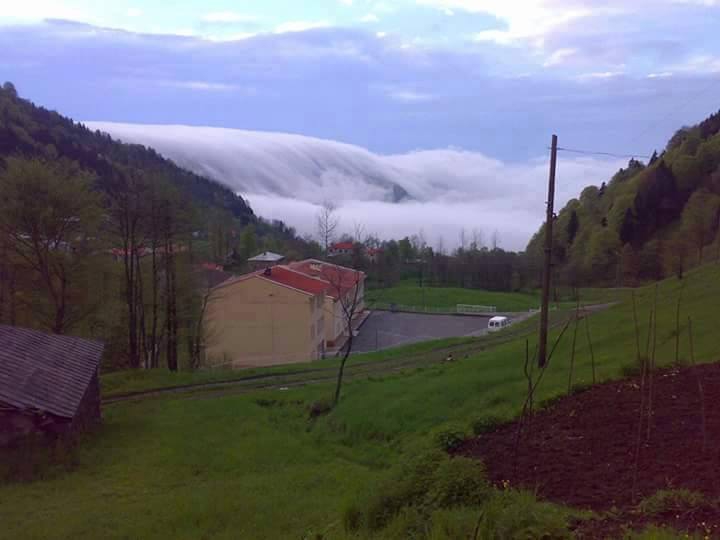 Tonya Sayraç Köyü Resimleri 2