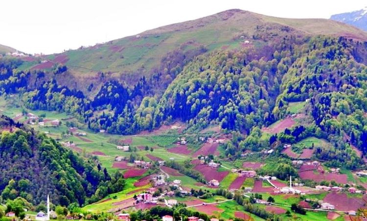 Tonya Sayraç Köyü Resimleri 24