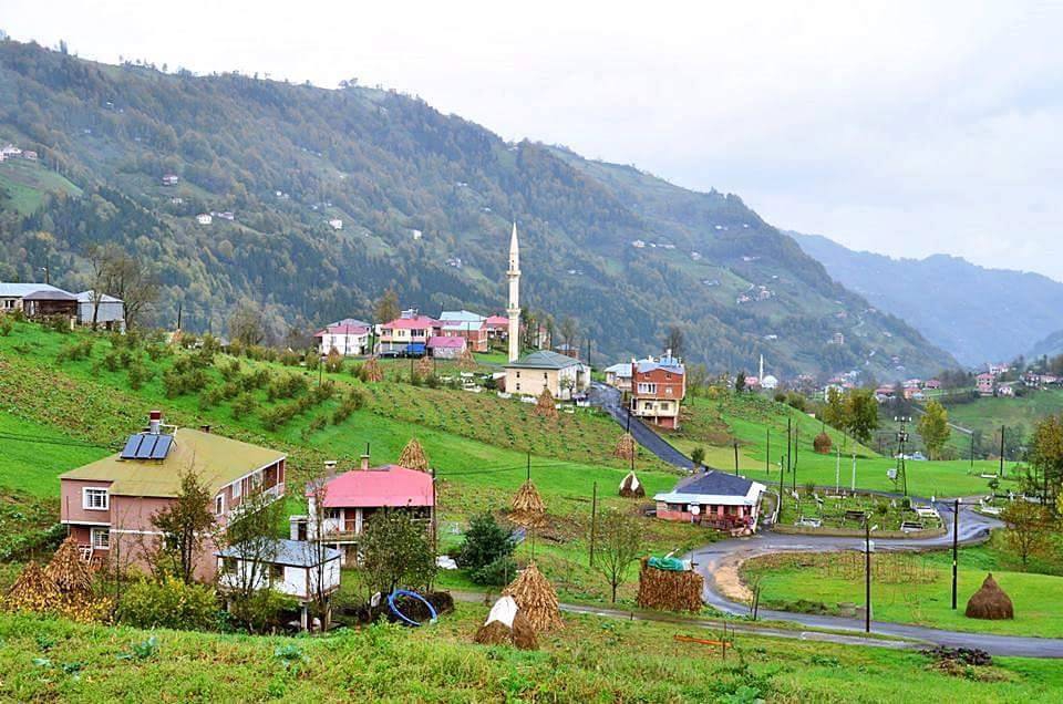 Tonya Sayraç Köyü Resimleri 25