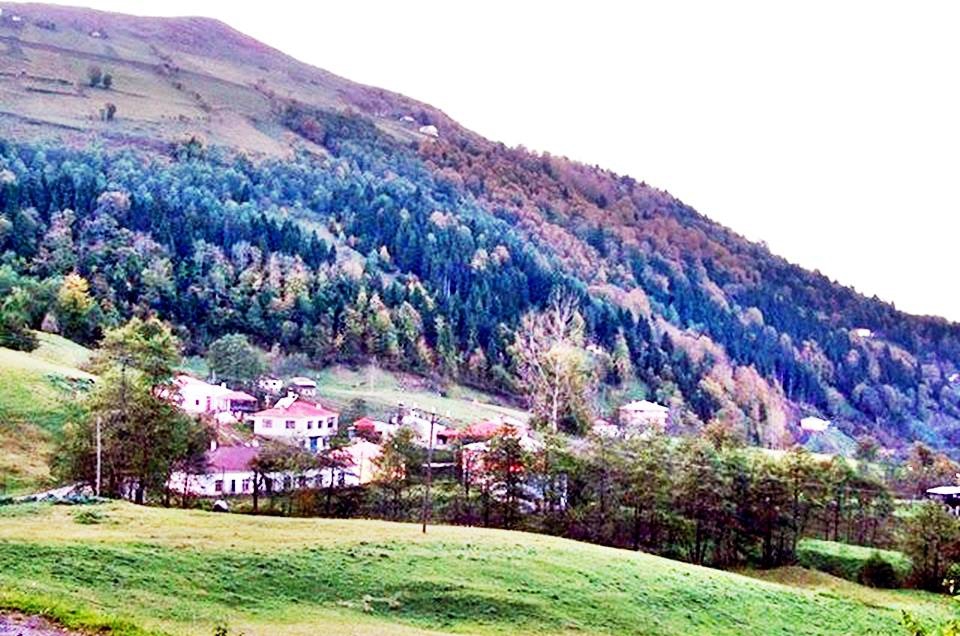 Tonya Sayraç Köyü Resimleri 27