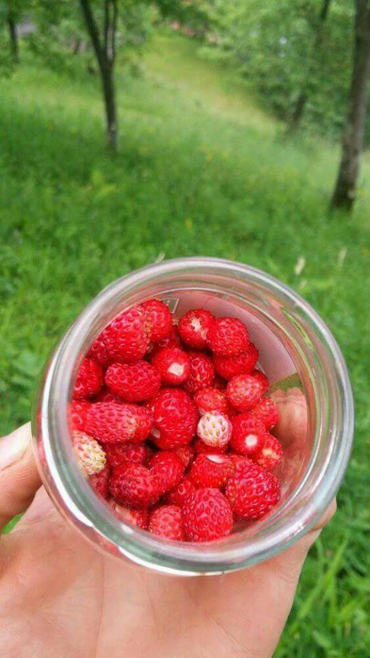 Tonya Sayraç Köyü Resimleri 28