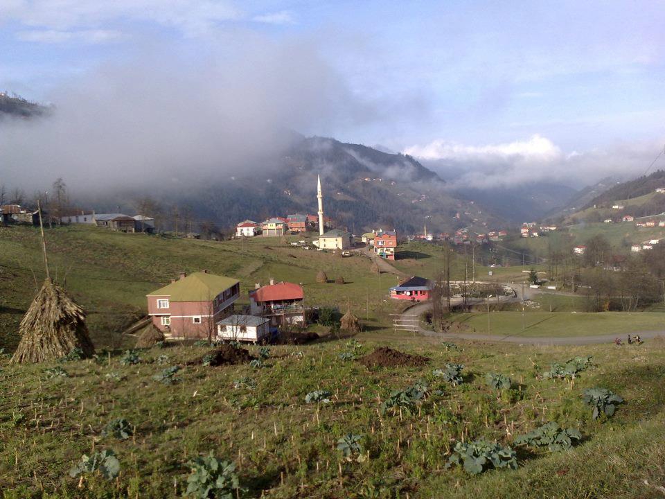 Tonya Sayraç Köyü Resimleri 29