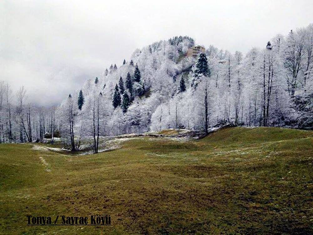Tonya Sayraç Köyü Resimleri 30