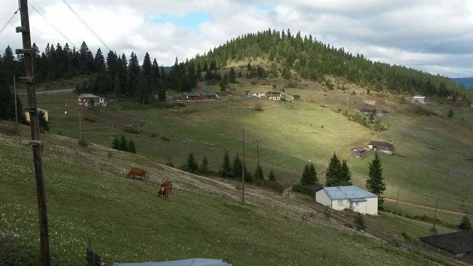 Tonya Sayraç Köyü Resimleri 32