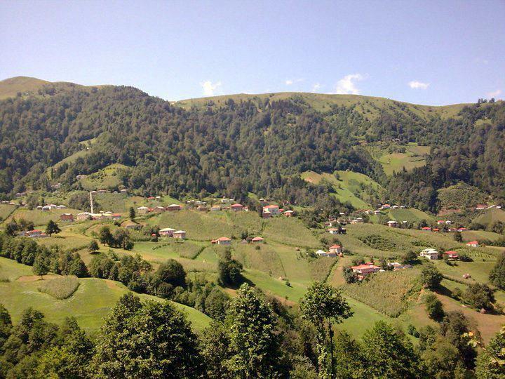 Tonya Sayraç Köyü Resimleri 33