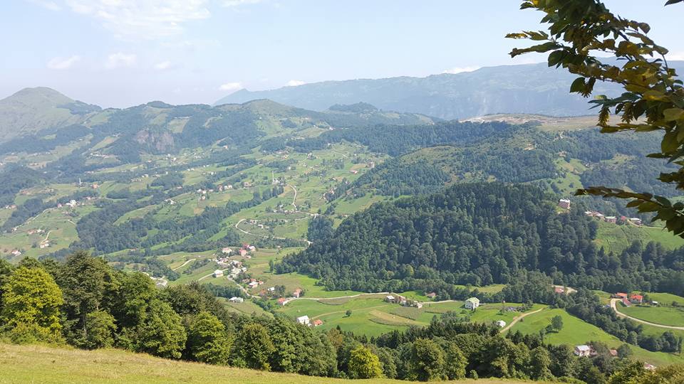 Tonya Sayraç Köyü Resimleri 34