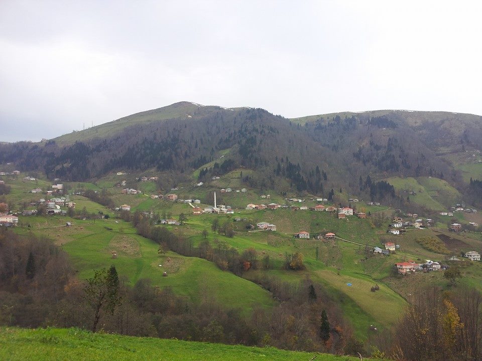 Tonya Sayraç Köyü Resimleri 35