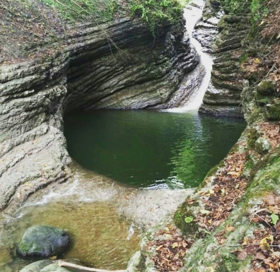Tonya Sayraç Köyü Resimleri 37