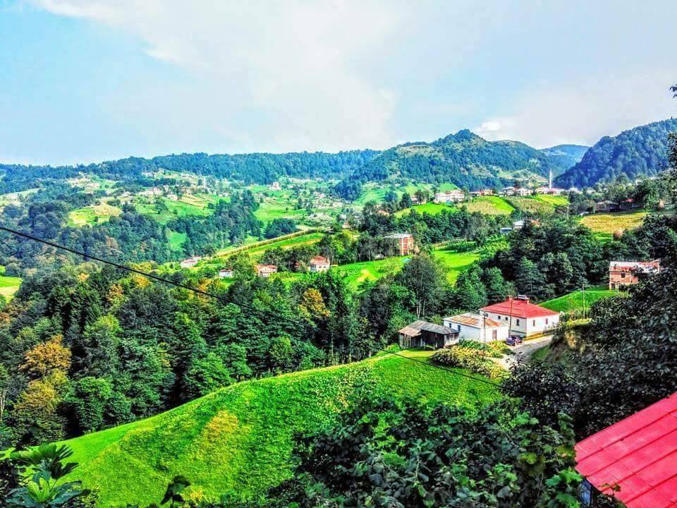 Tonya Sayraç Köyü Resimleri 38