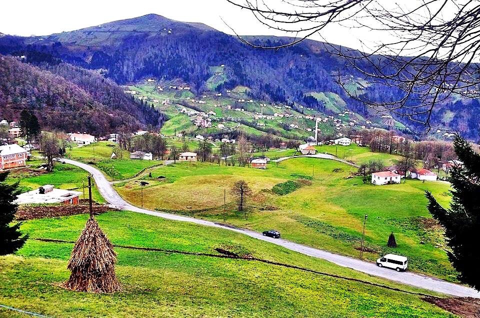 Tonya Sayraç Köyü Resimleri 39