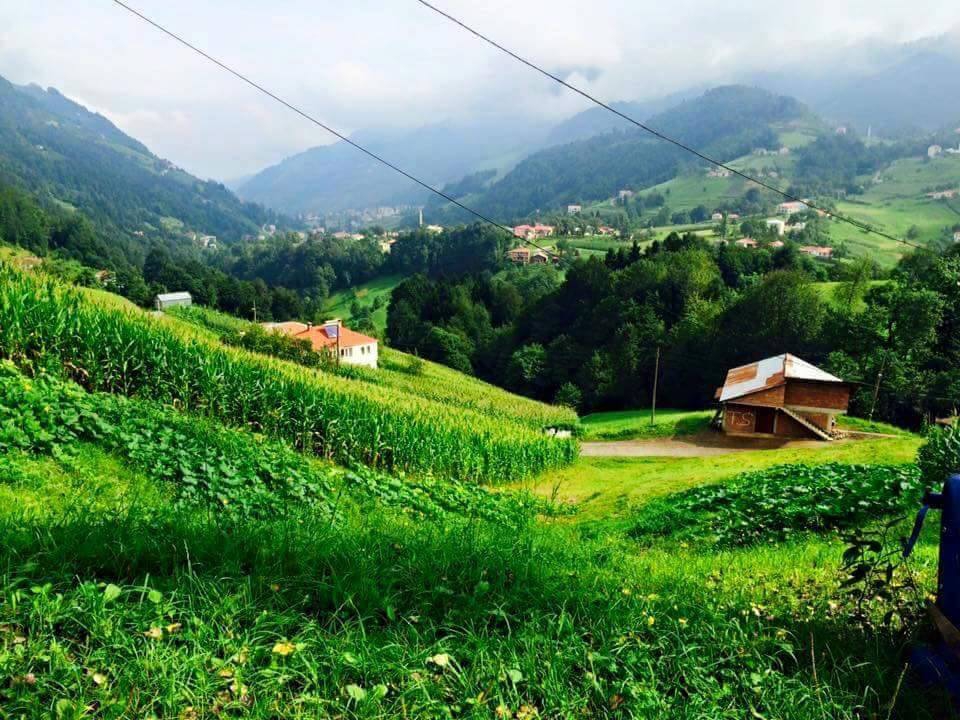 Tonya Sayraç Köyü Resimleri 40