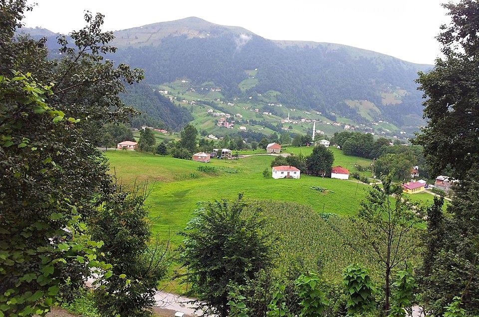 Tonya Sayraç Köyü Resimleri 43