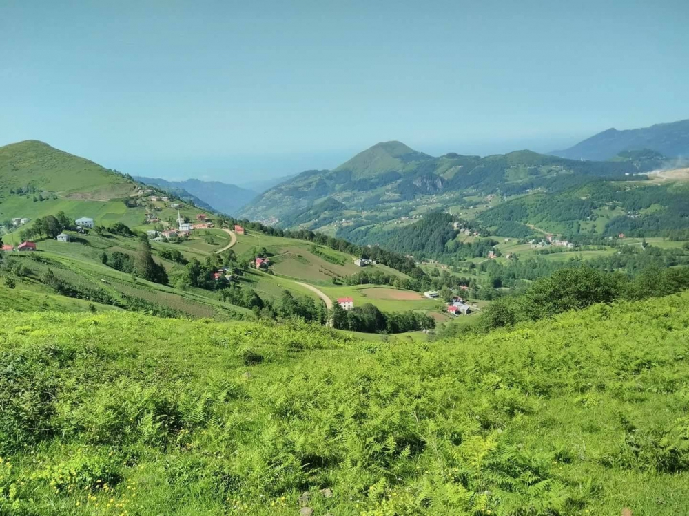 Tonya Sayraç Köyü Resimleri 44