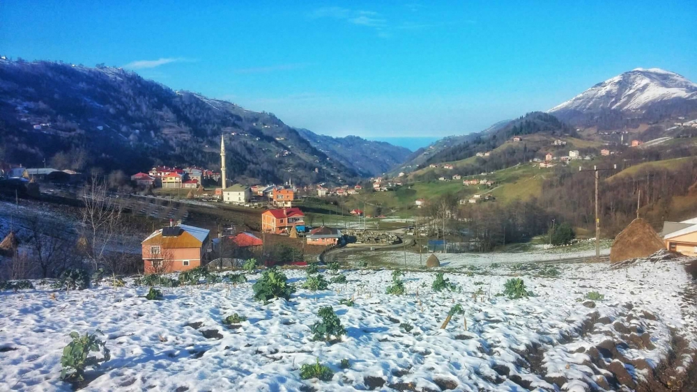 Tonya Sayraç Köyü Resimleri 45