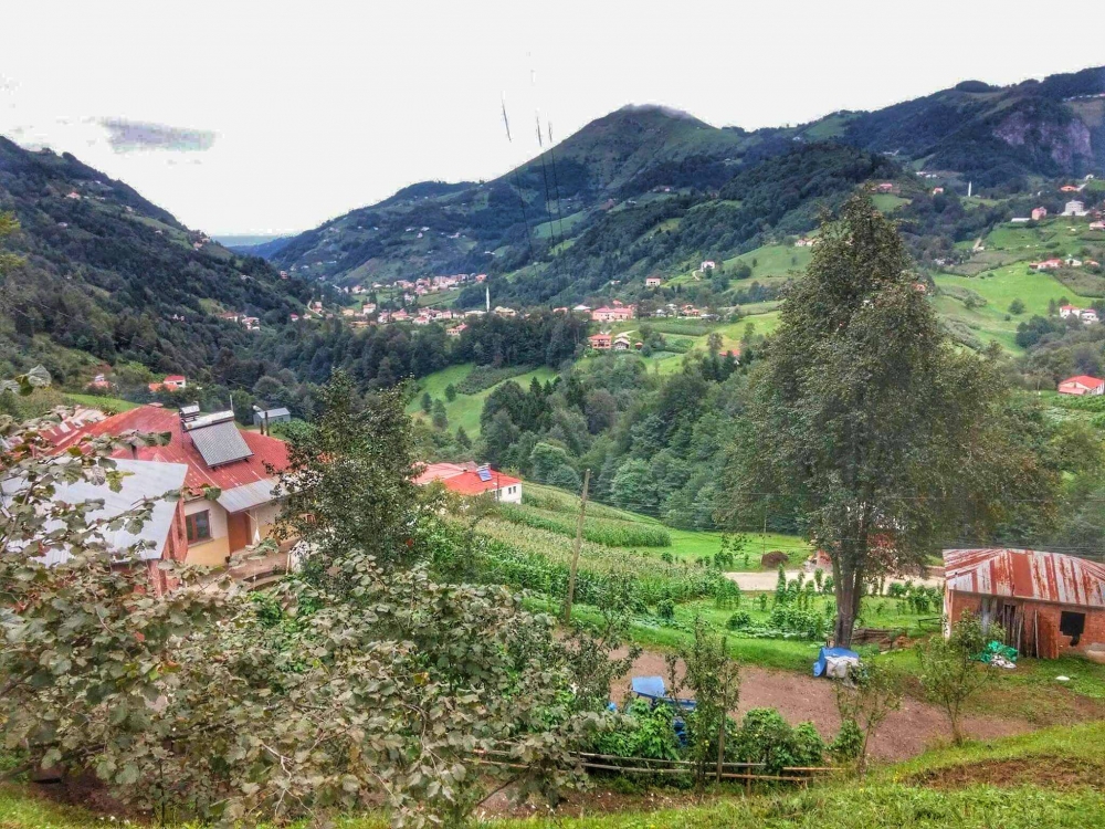 Tonya Sayraç Köyü Resimleri 47