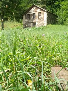 Tonya Sayraç Köyü Resimleri 8