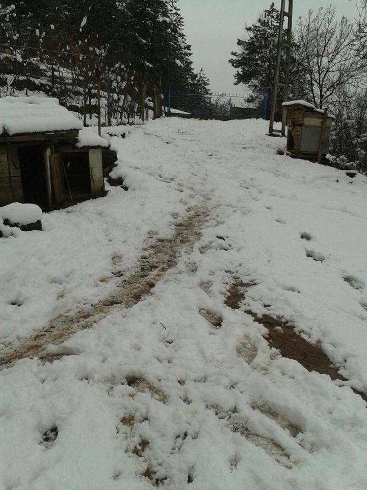 Kastamonu Bostanköy Köyü Resimleri 13