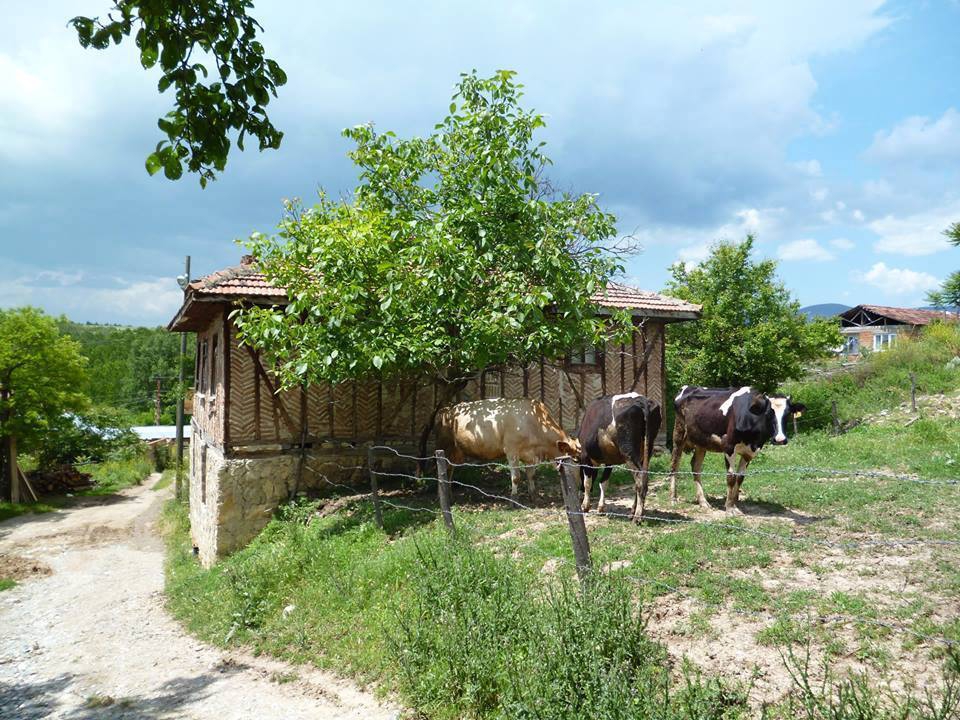 Kastamonu Bozoğlak Köyü Resimleri 4