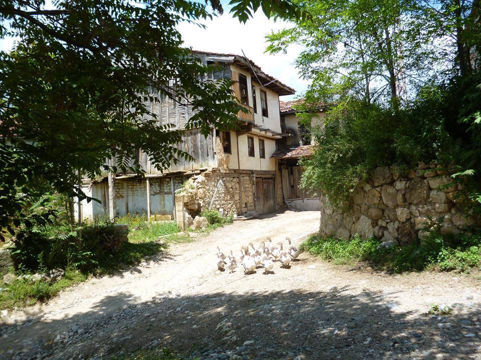 Kastamonu Bozoğlak Köyü Resimleri 5