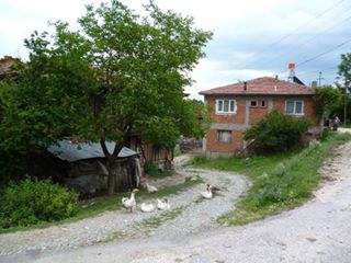 Kastamonu Bozoğlak Köyü Resimleri 6