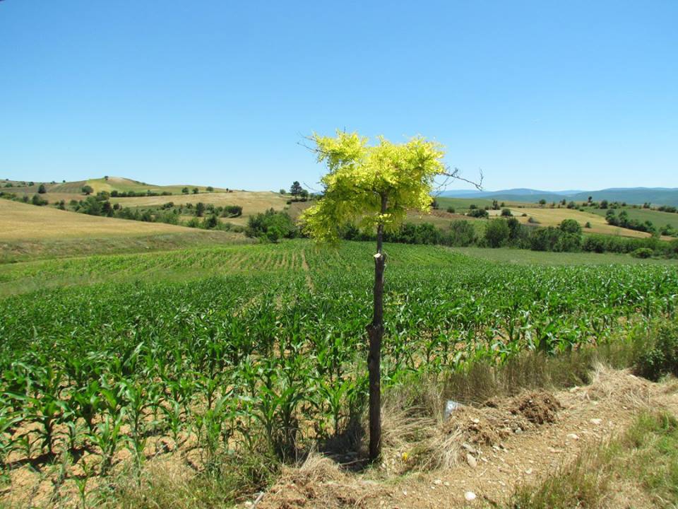 Kastamonu Bükköy Köyü Resimleri 2