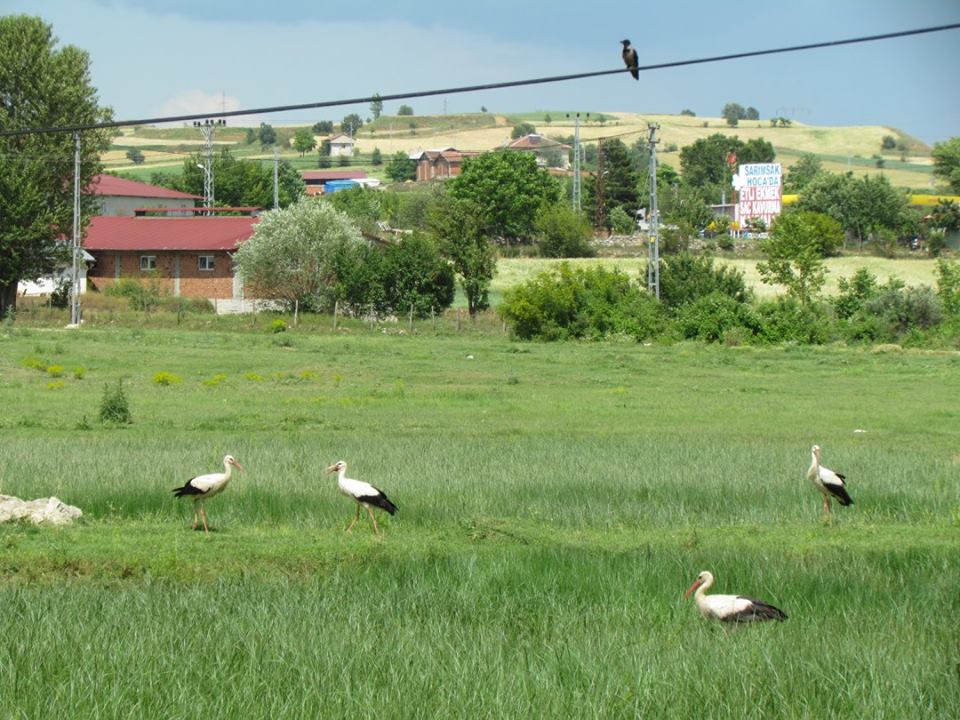 Kastamonu Bükköy Köyü Resimleri 8