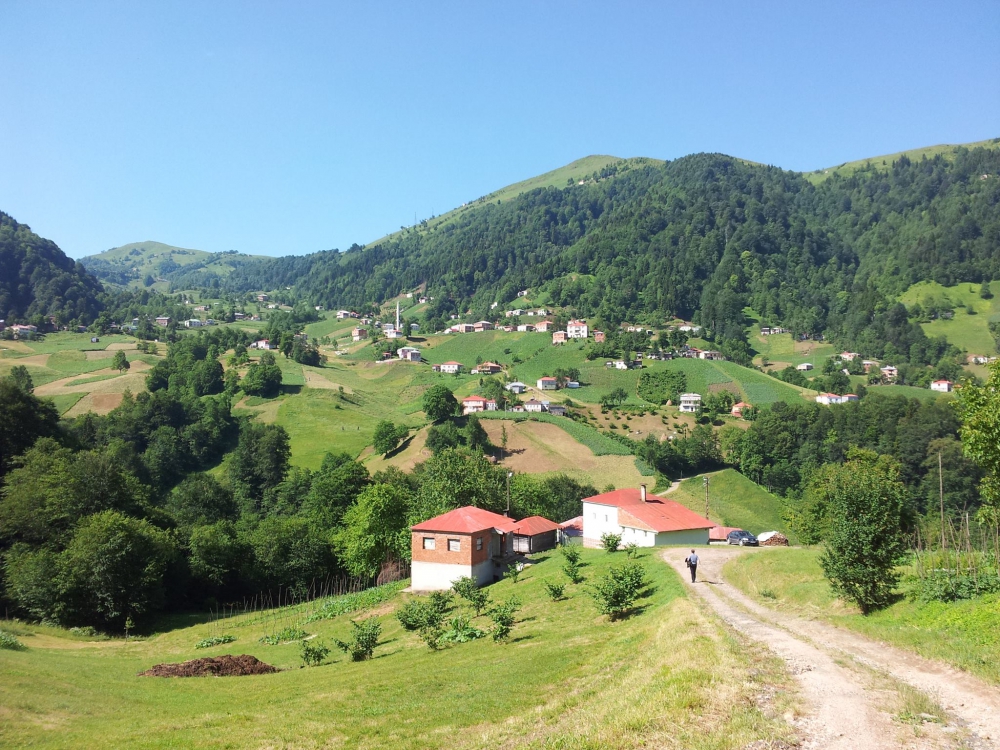 Tonya Turalı Köyü Resimleri 18